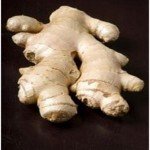 Fresh ginger (sheng jiang) 